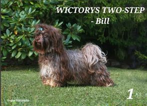 Wictorys Two-Step