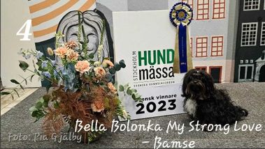 Bella Bolonka My Strong Love Bamse